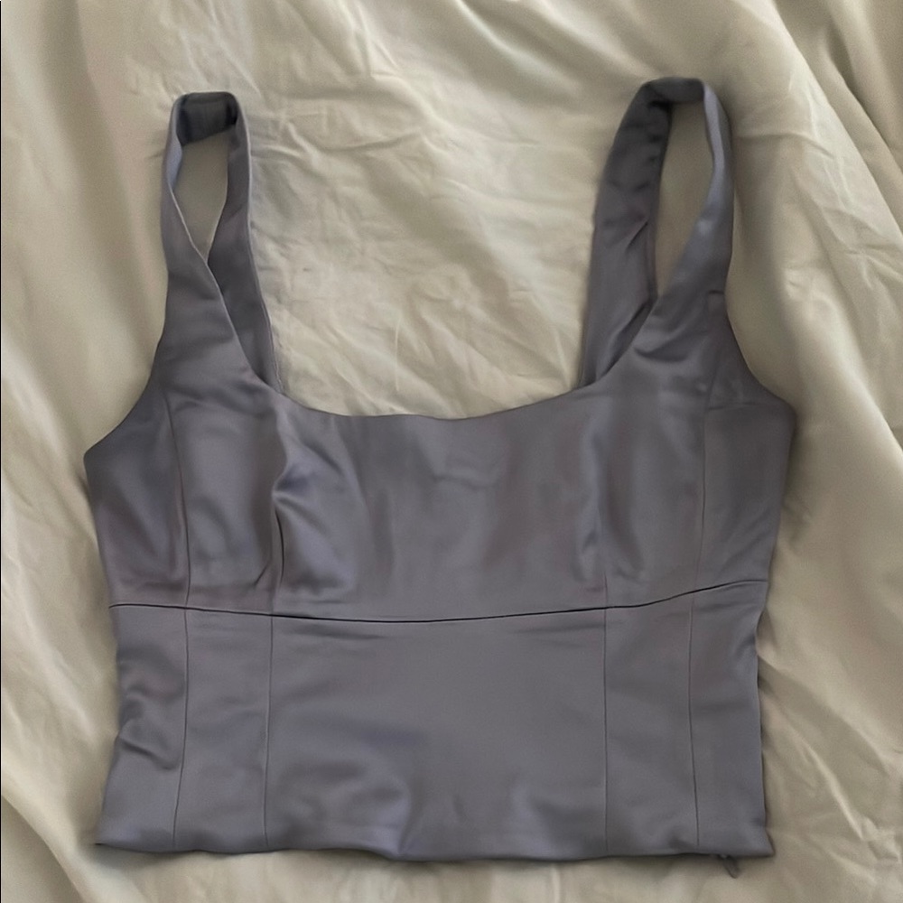 Aritzia Wilfred Bustier top